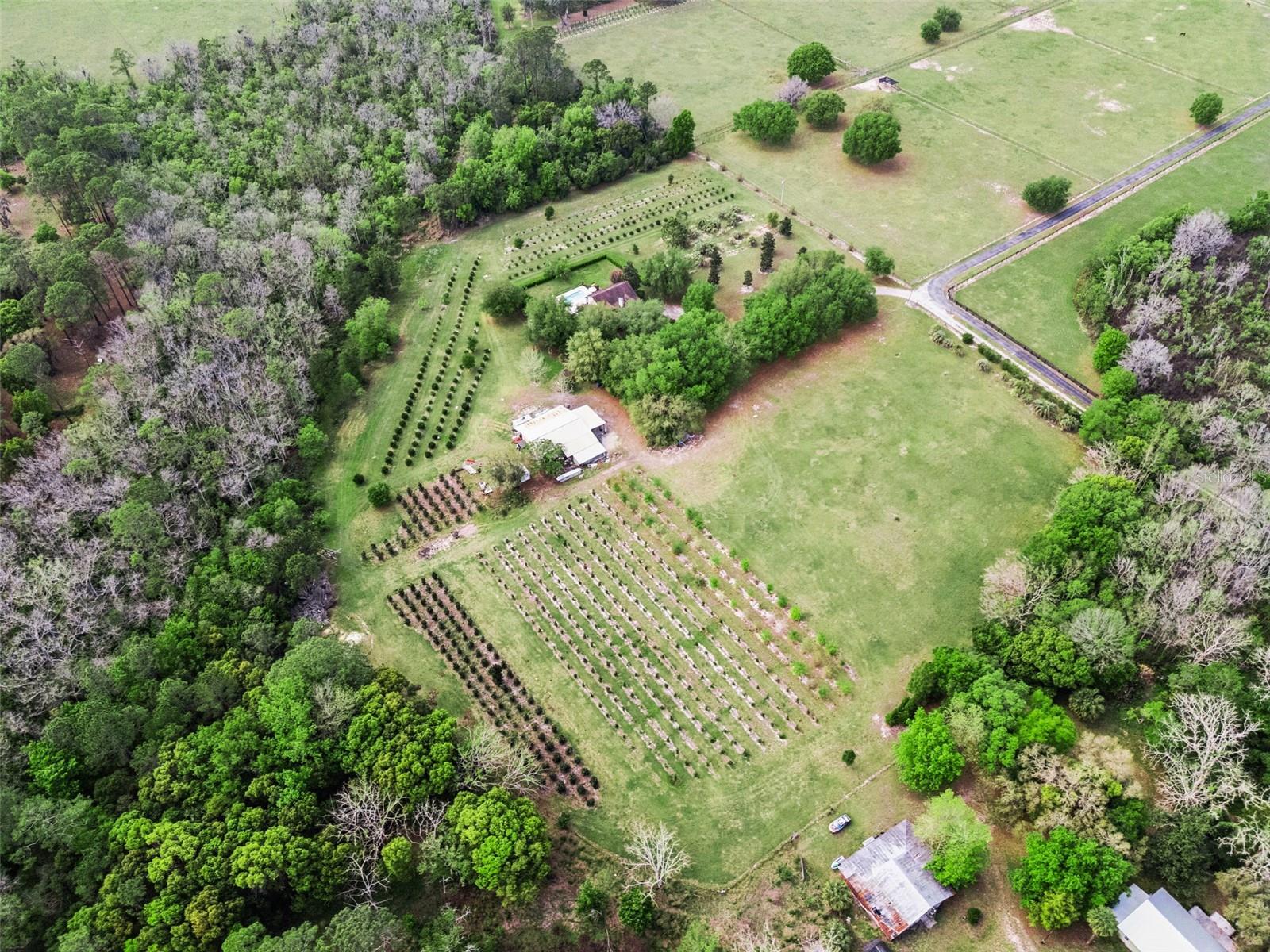 Image 36 of 48 For 3466 Cross Branch Road