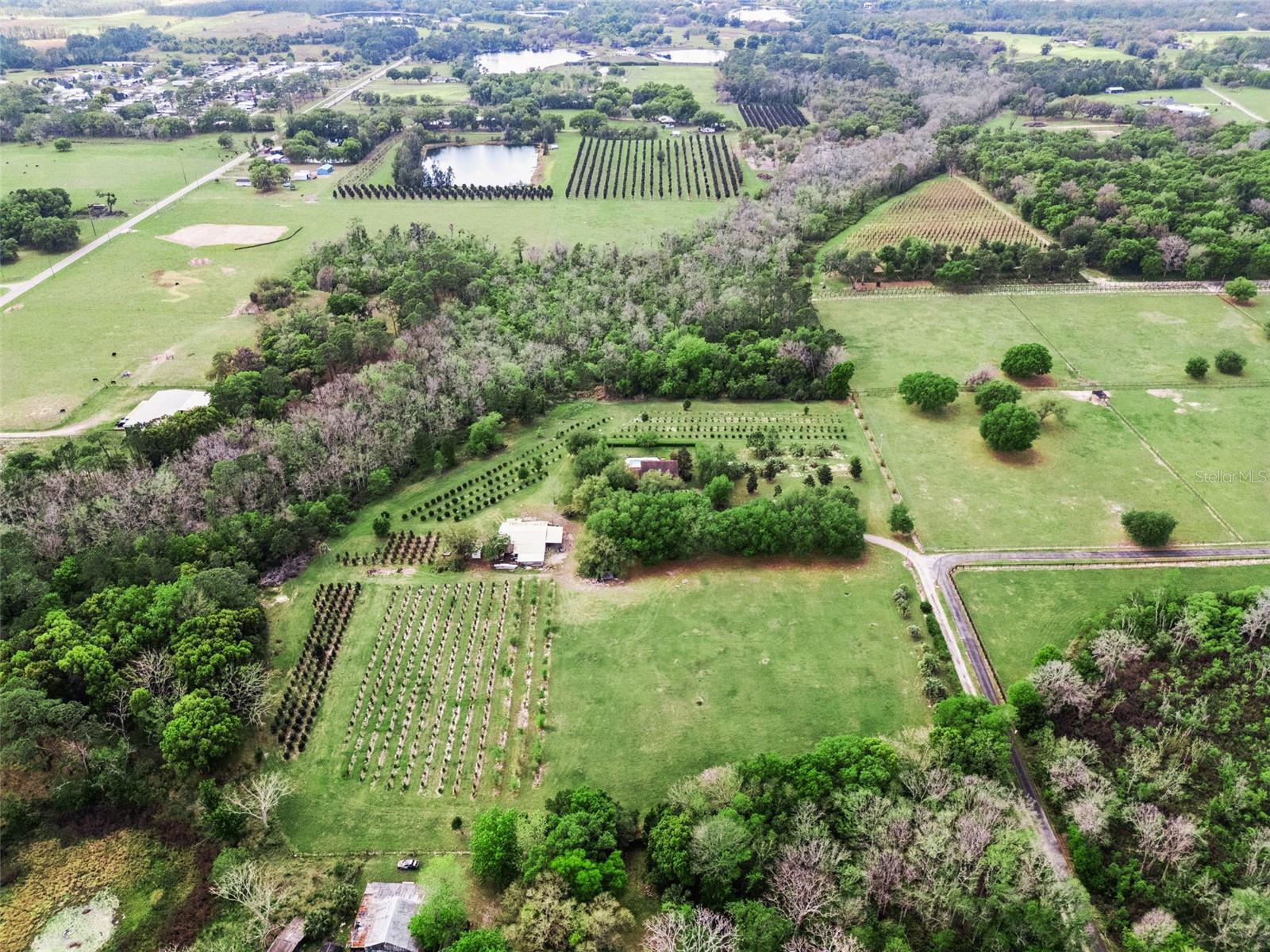 Image 41 of 48 For 3466 Cross Branch Road