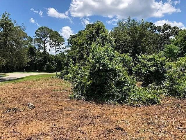 Image 11 of 18 For 257 Lake Lane