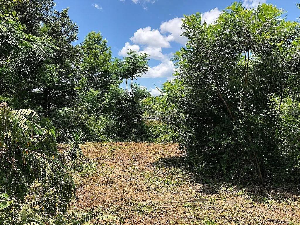 Image 6 of 18 For 257 Lake Lane