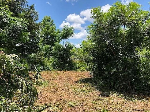 Image 9 of 18 For 257 Lake Lane