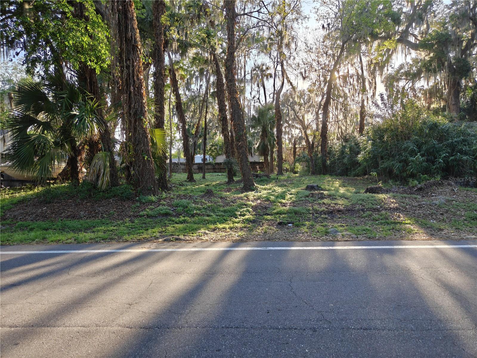 Image 2 of 3 For 2214 Needle Palm Drive