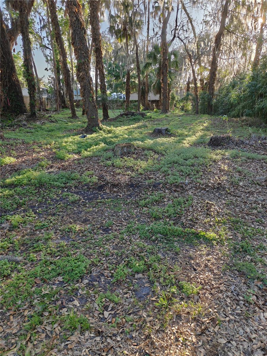 Image 3 of 3 For 2214 Needle Palm Drive