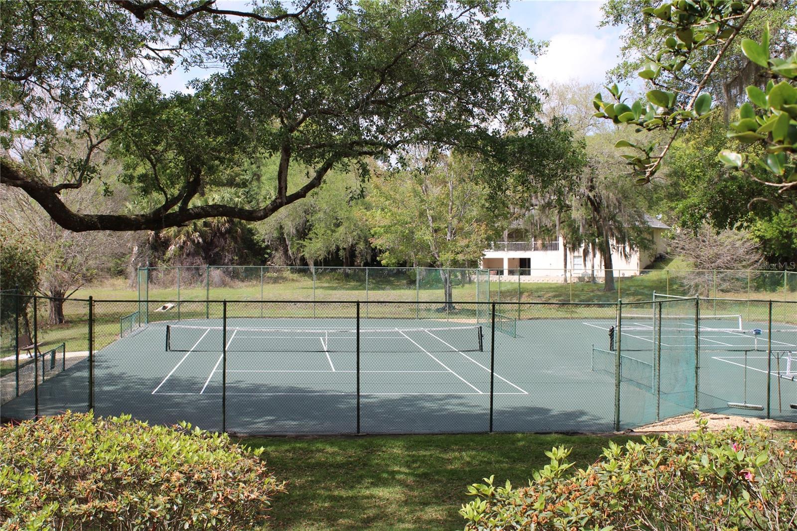 Image 45 of 46 For 226 Crooked Tree Trail