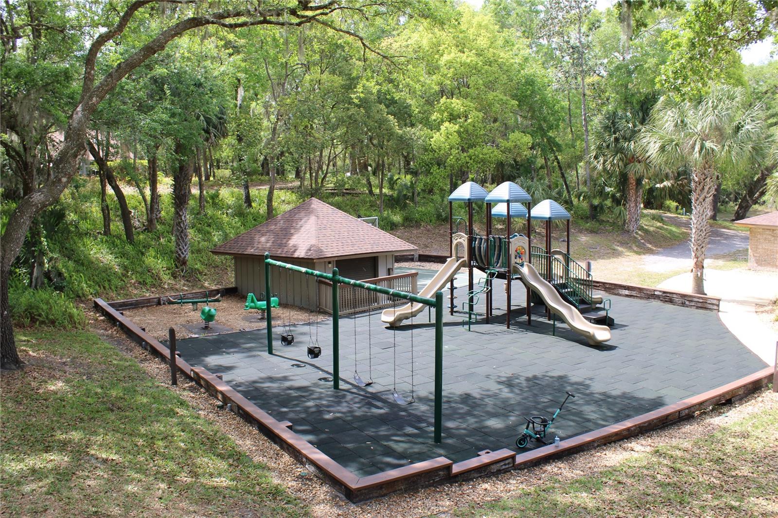 Image 46 of 46 For 226 Crooked Tree Trail