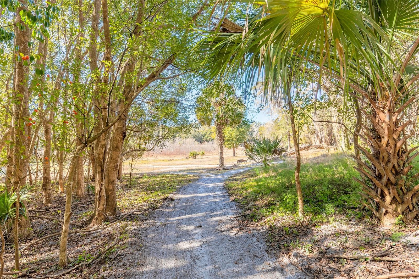 Image 56 of 60 For 2090 & 2095 Stone Road