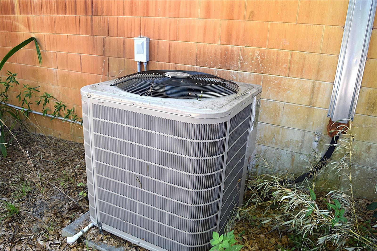 Image 25 of 30 For 2535 Boswell Street