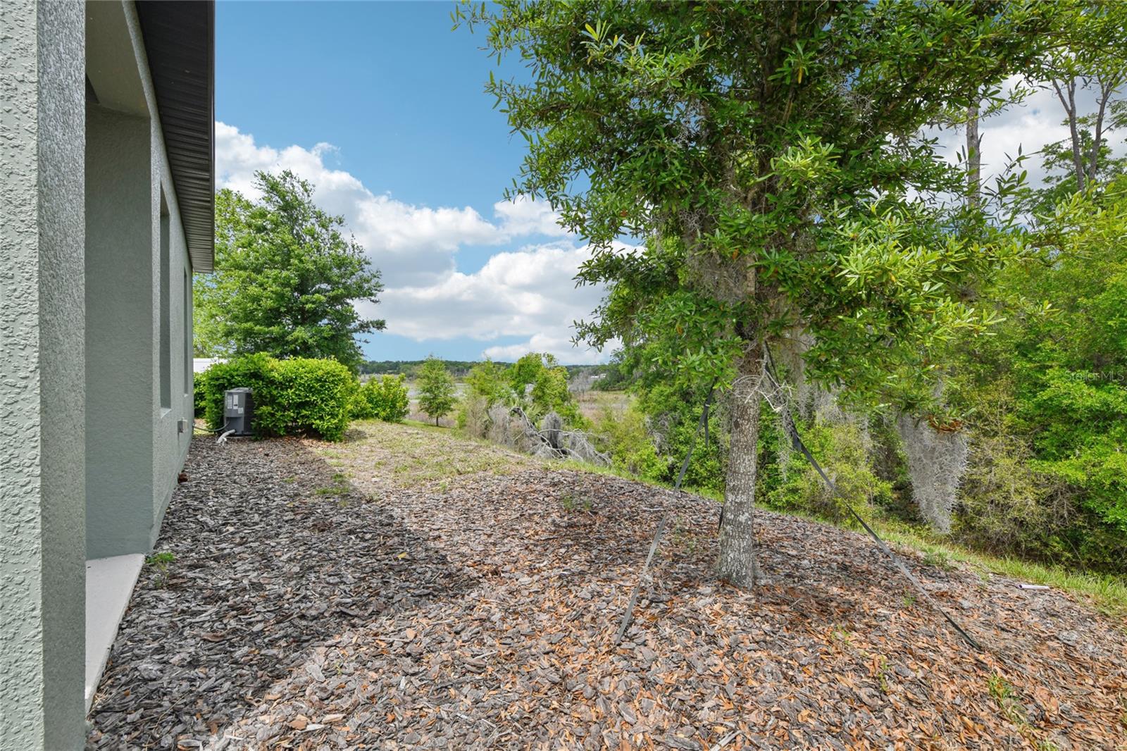 Image 22 of 24 For 2352 Litchfield Loop