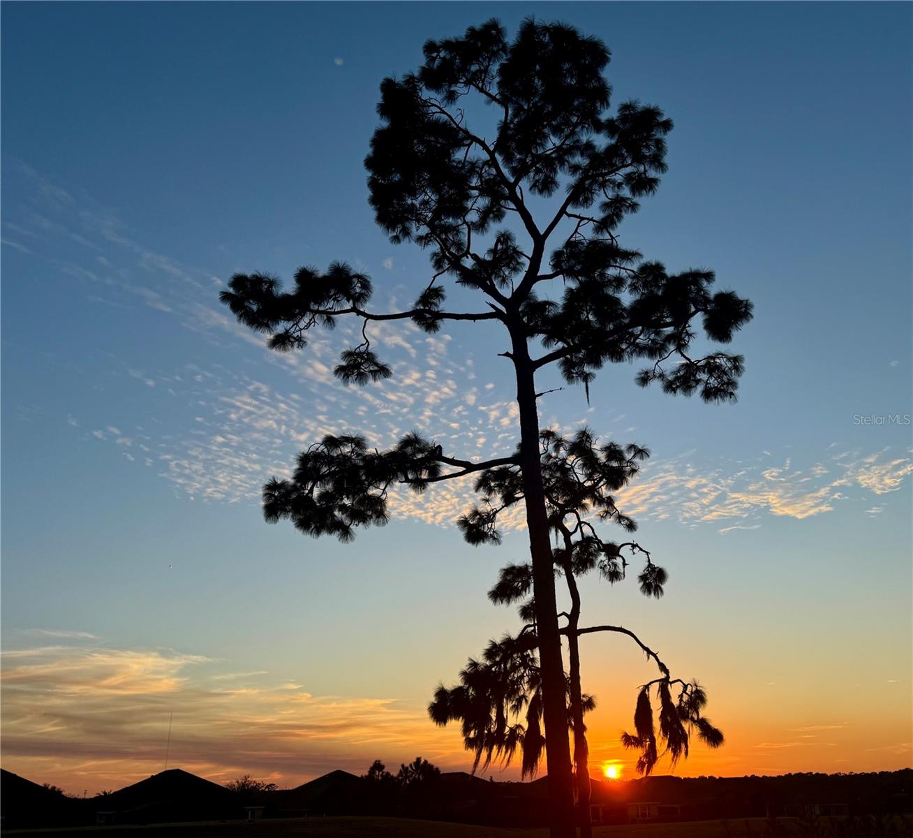 Image 5 of 34 For 262 Northcote Court