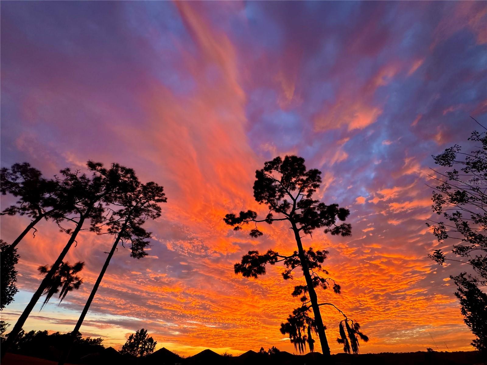 Image 6 of 34 For 262 Northcote Court