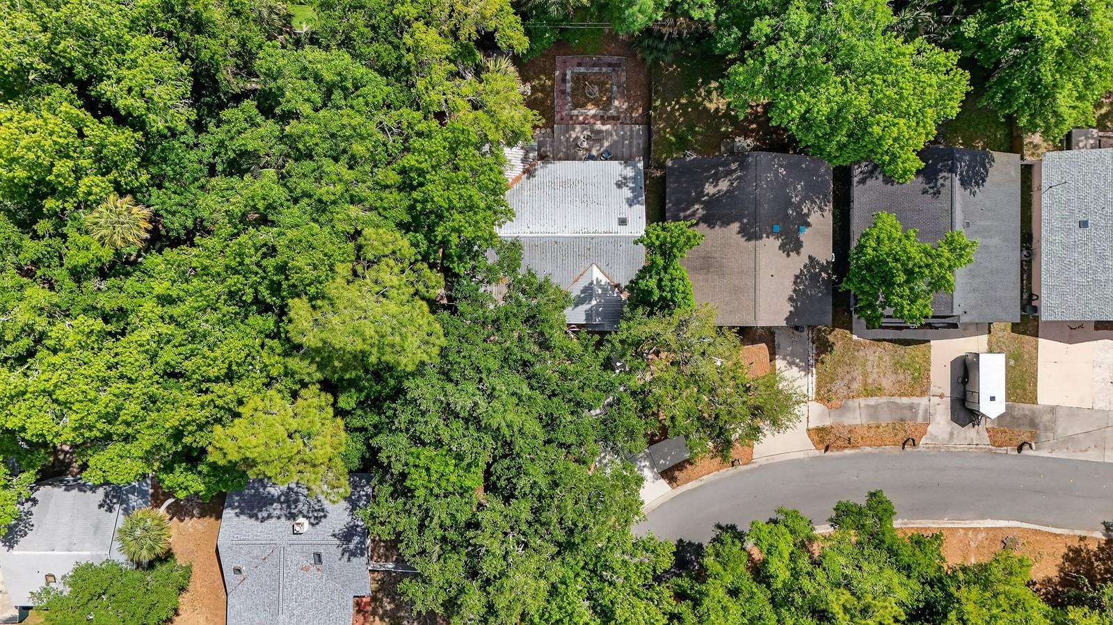 Image 41 of 57 For 3639 Old Hammock Road