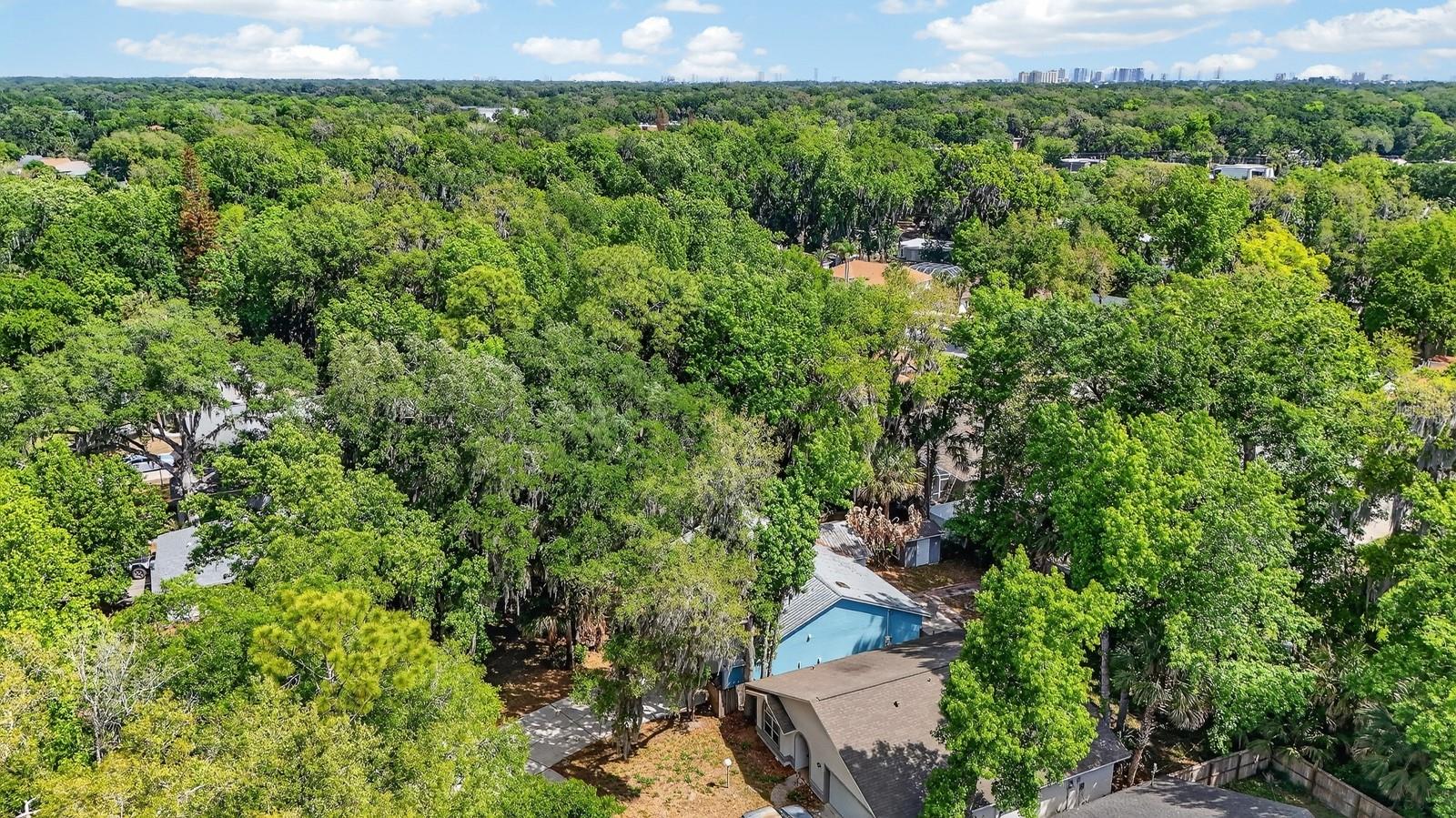 Image 43 of 57 For 3639 Old Hammock Road