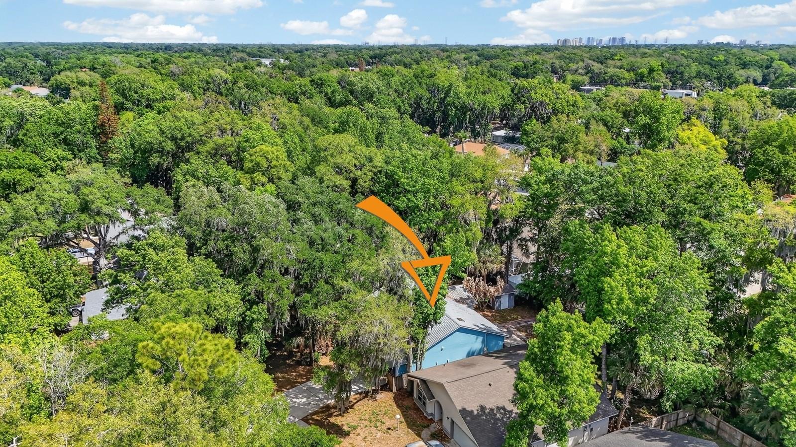 Image 44 of 57 For 3639 Old Hammock Road