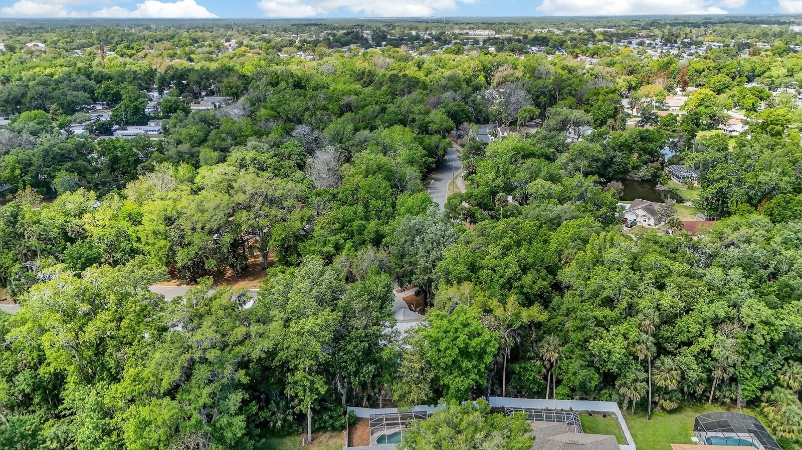 Image 46 of 57 For 3639 Old Hammock Road