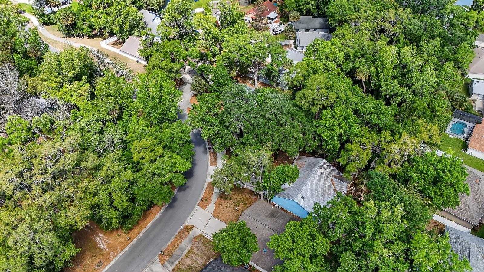 Image 48 of 57 For 3639 Old Hammock Road