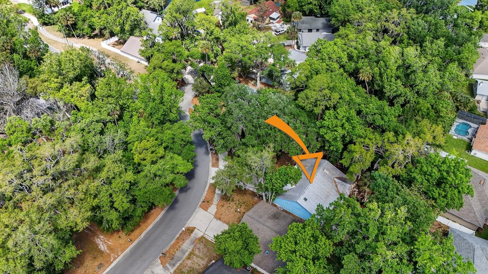 Image 49 of 57 For 3639 Old Hammock Road