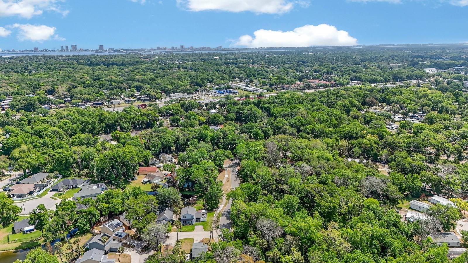 Image 51 of 57 For 3639 Old Hammock Road