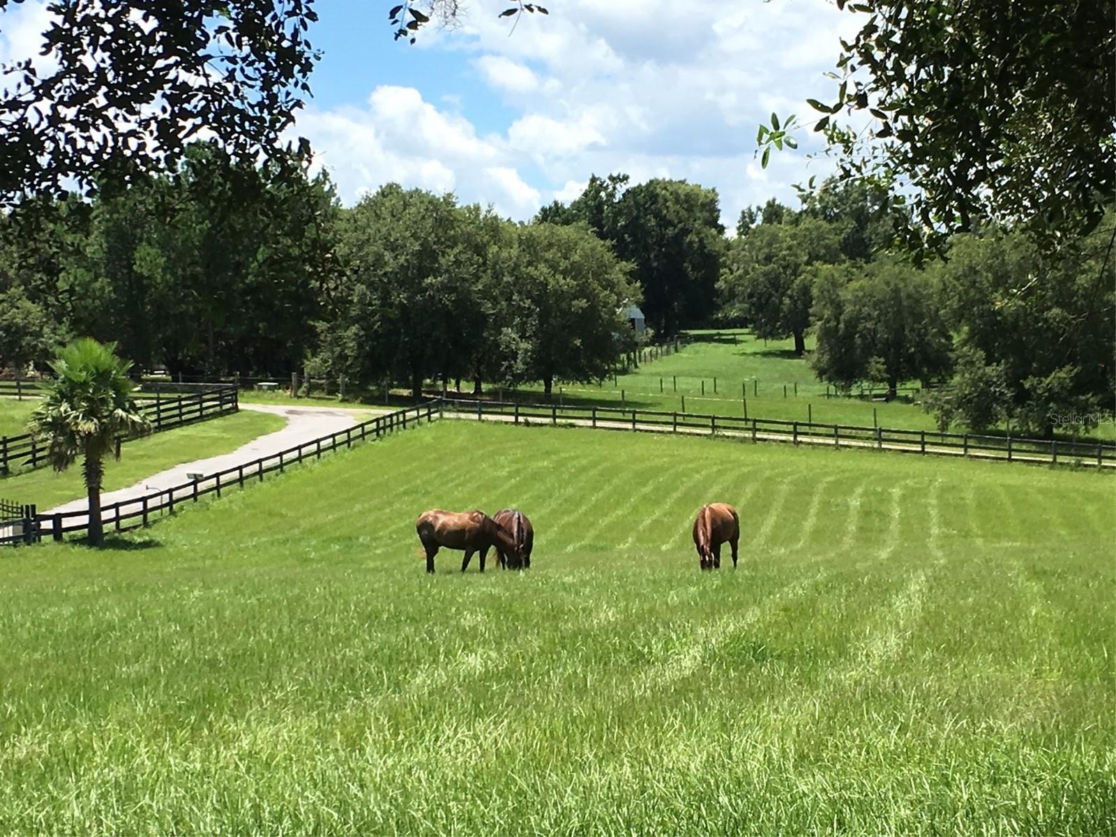 Image 61 of 62 For 2380 Narrow Way