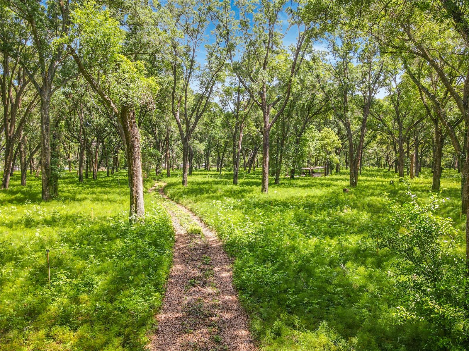 Details for 164 Denver Road, CRESCENT CITY, FL 32112