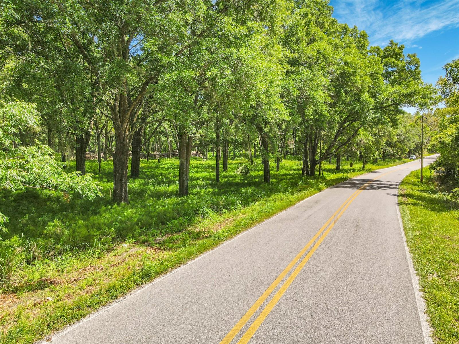 Image 3 of 11 For 164 Denver Road