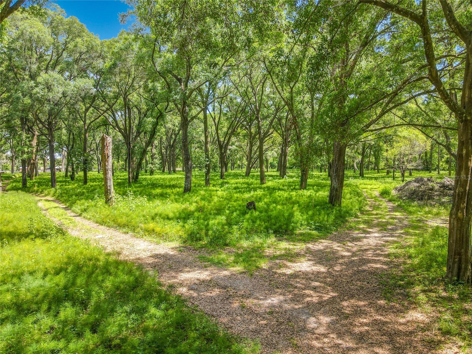 Image 6 of 11 For 164 Denver Road