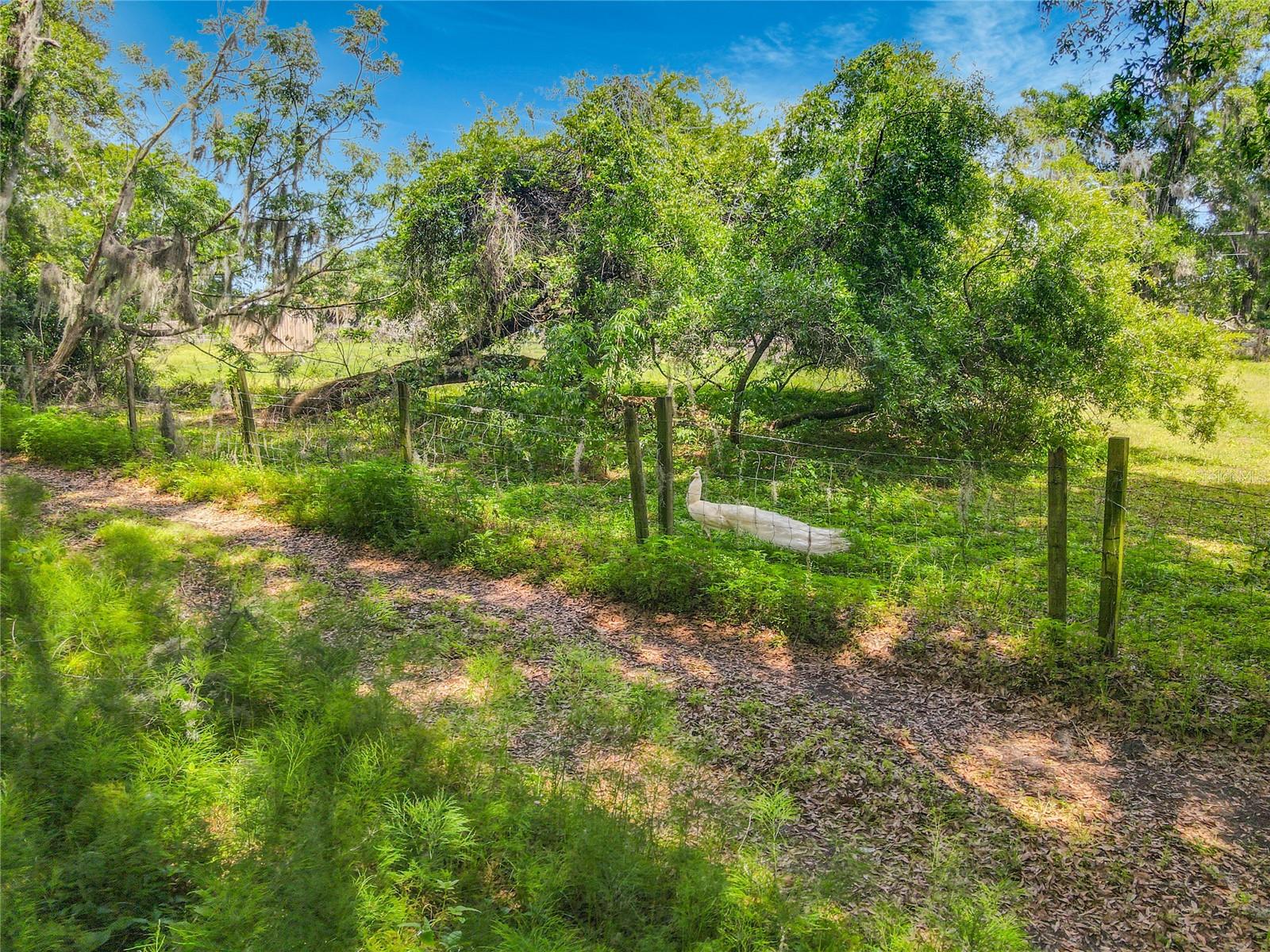 Image 7 of 11 For 164 Denver Road