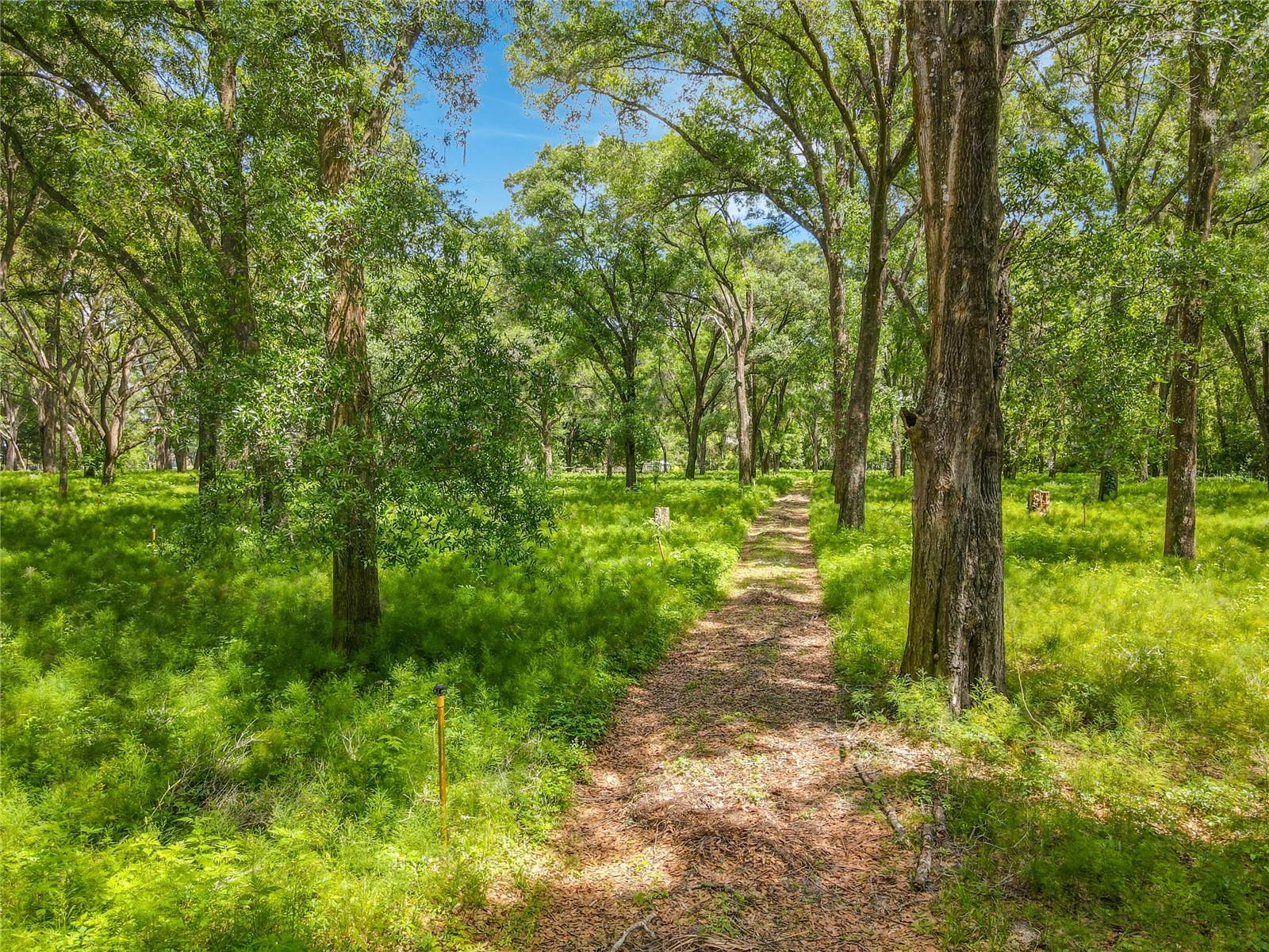Image 8 of 11 For 164 Denver Road