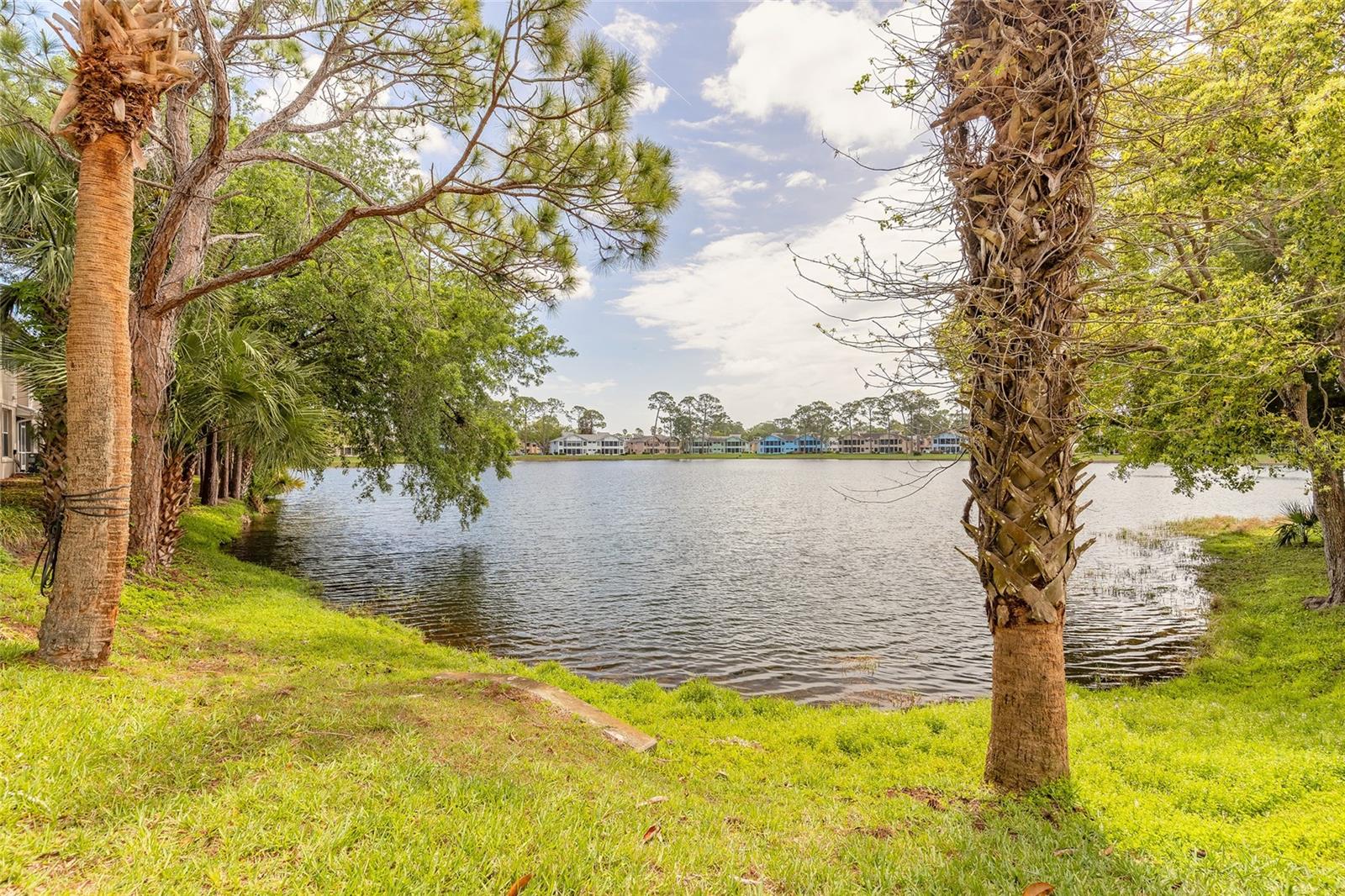 Image 39 of 44 For 135 Grey Widgeon Court