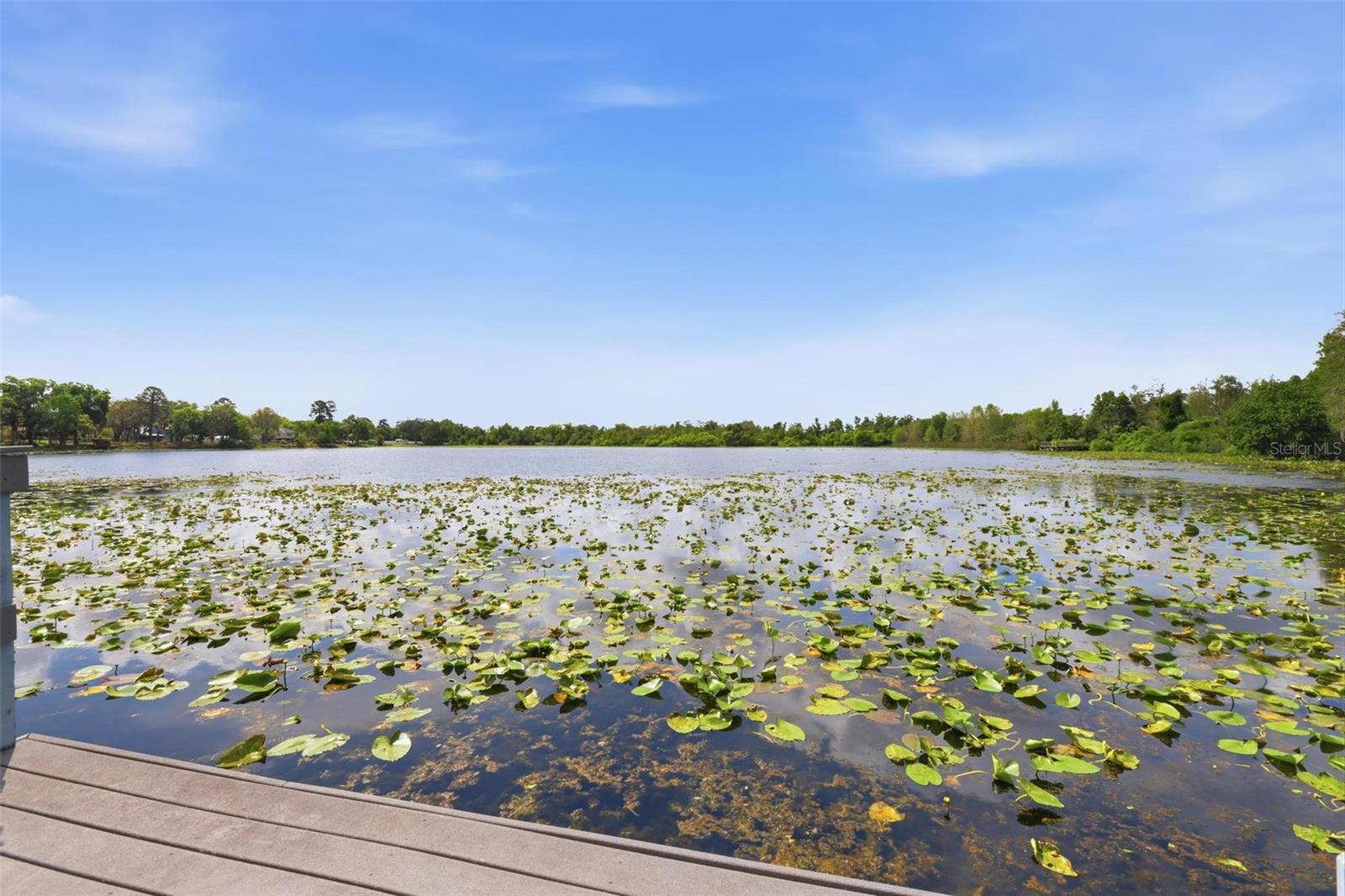 Image 40 of 61 For 158 Northshore Cir