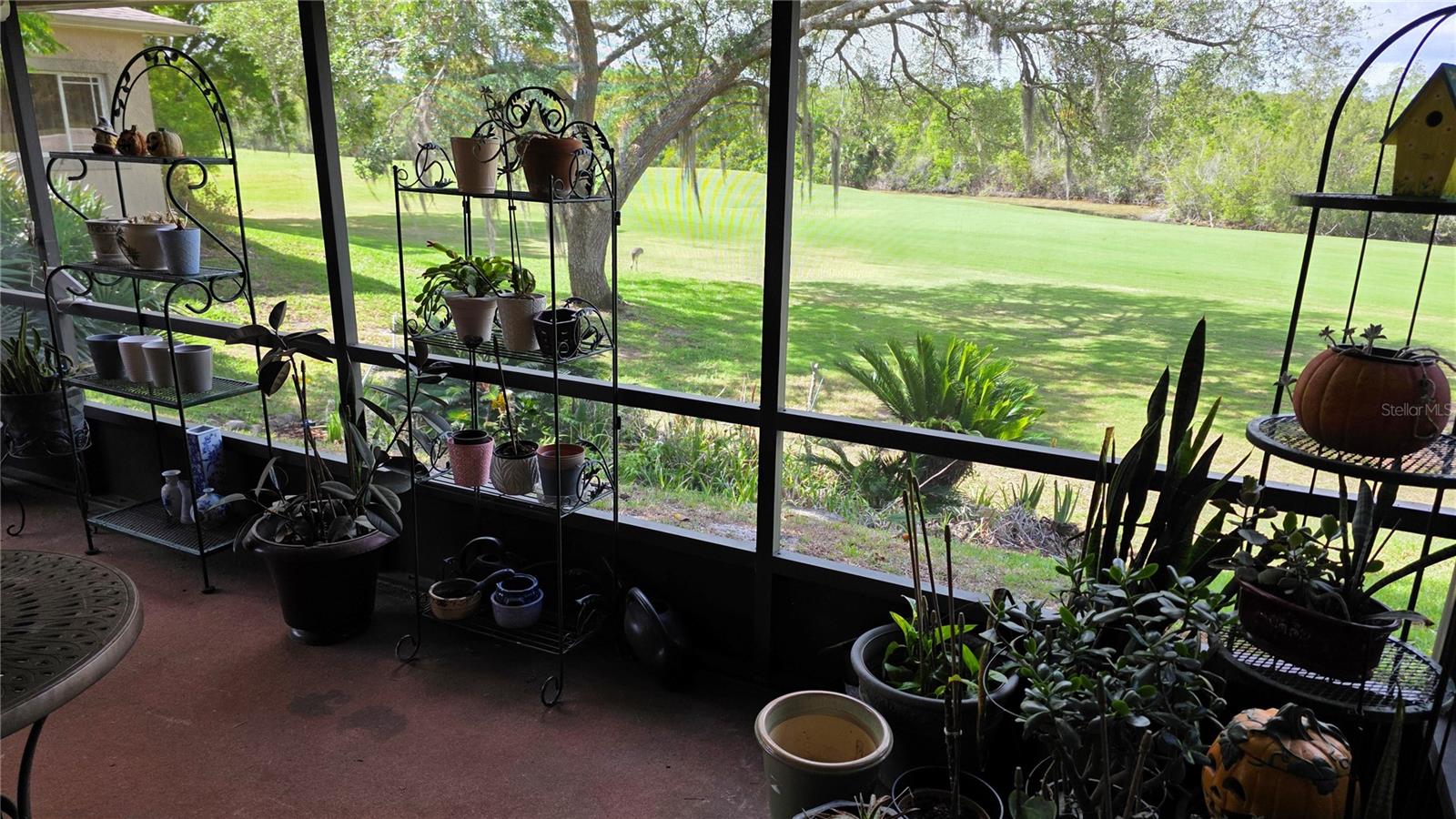 Image 42 of 51 For 1024 Club House Boulevard