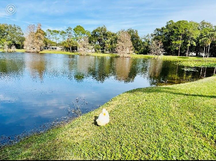 Image 43 of 51 For 5345 Avon Court