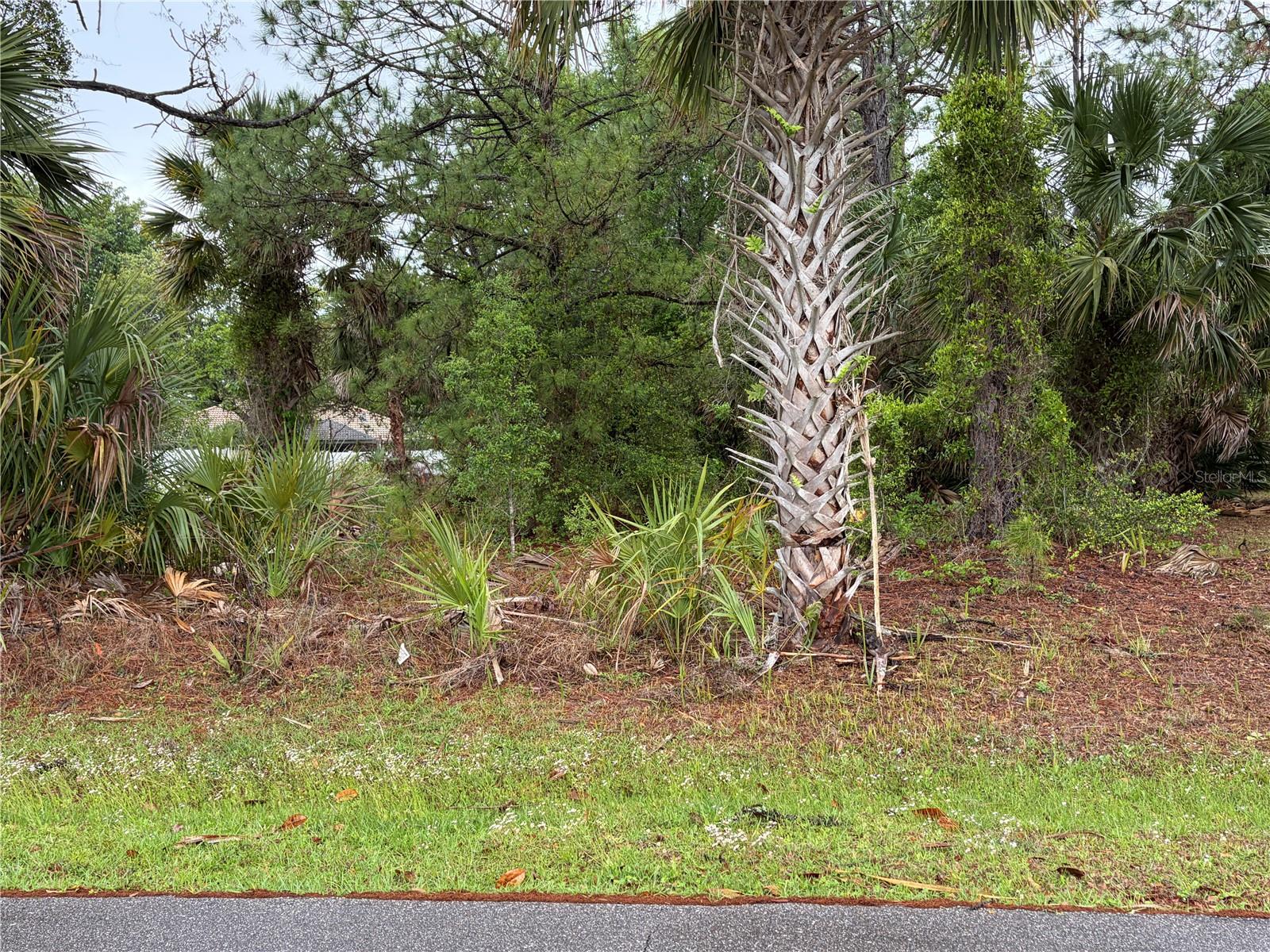 Listing Details for 31 Whittingham Lane, PALM COAST, FL 32164