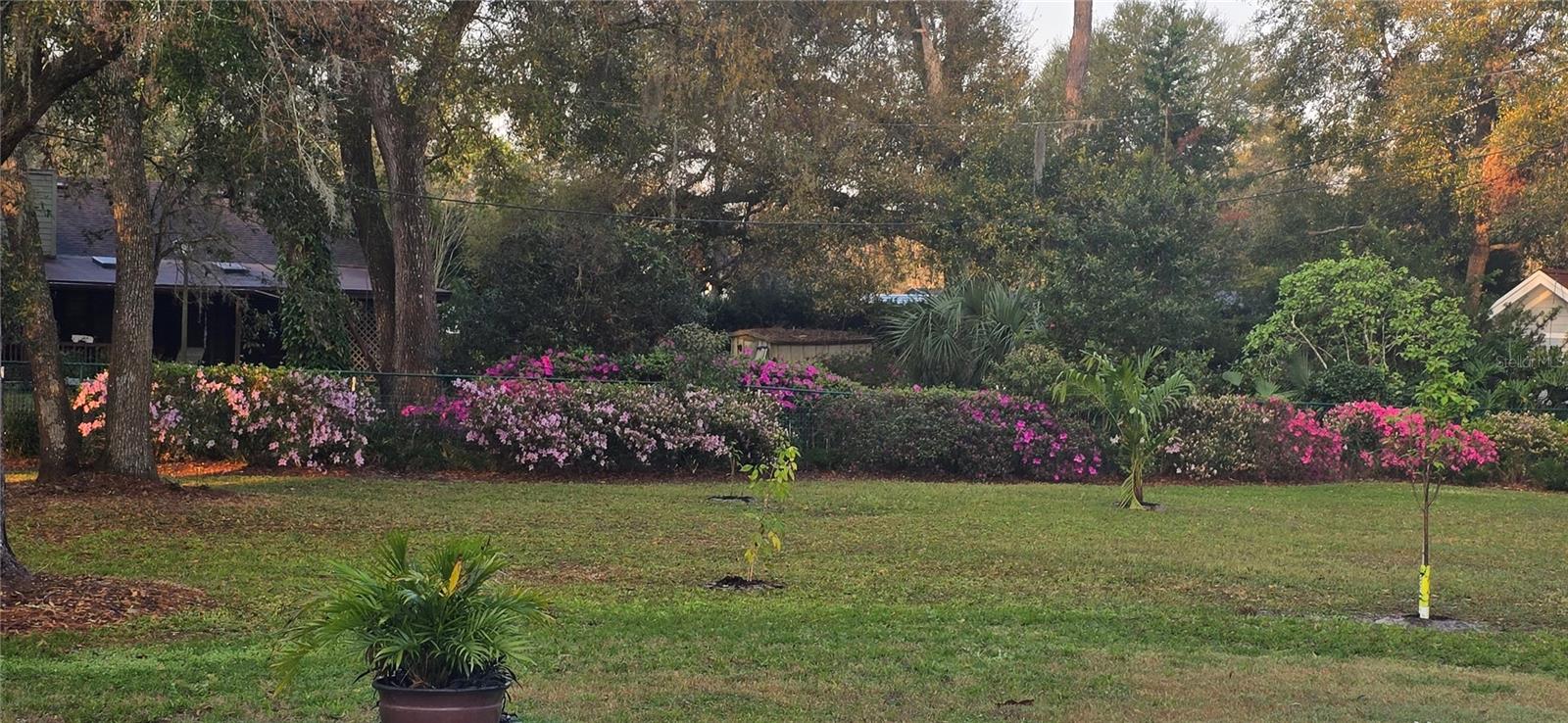 Image 61 of 66 For 805 Bay Tree Circle