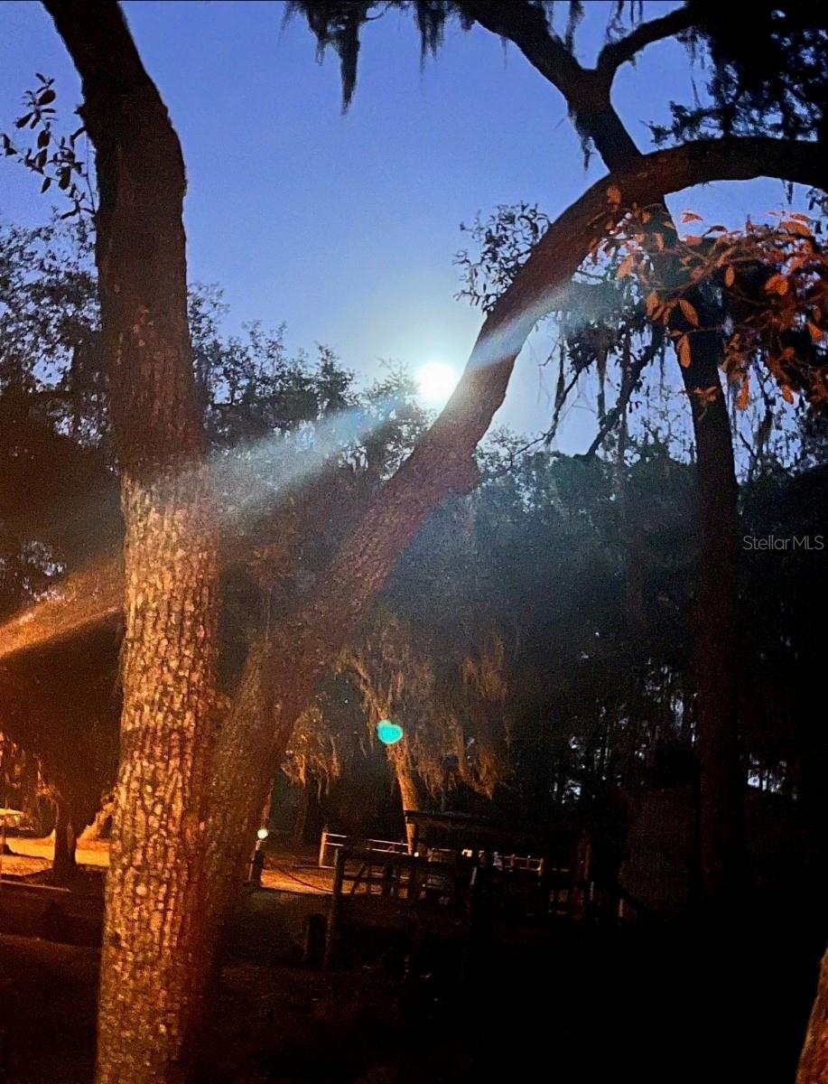 Image 17 of 21 For 18625 238th Terrace