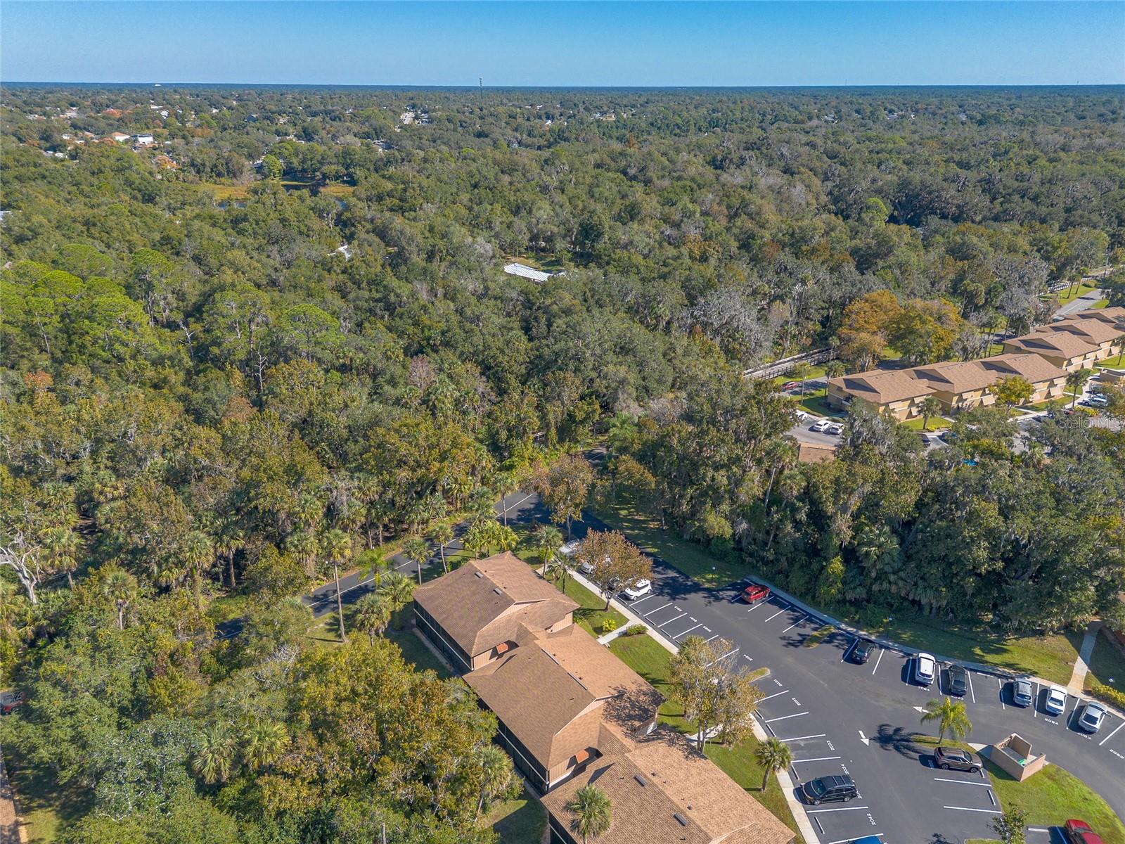 Image 36 of 43 For 150 Wax Myrtle Woods Court 2a