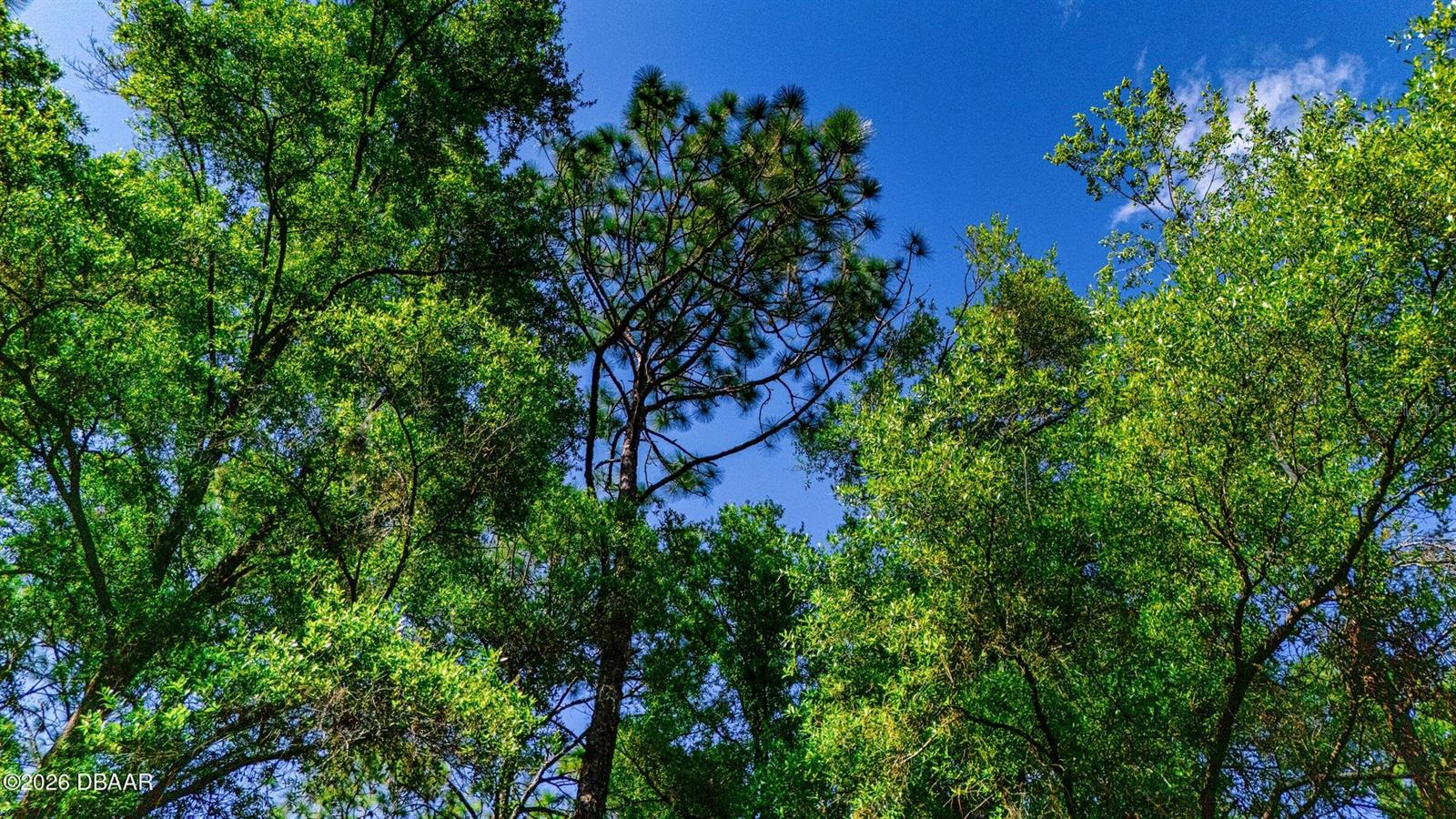 Image 10 of 11 For 0 57th Place