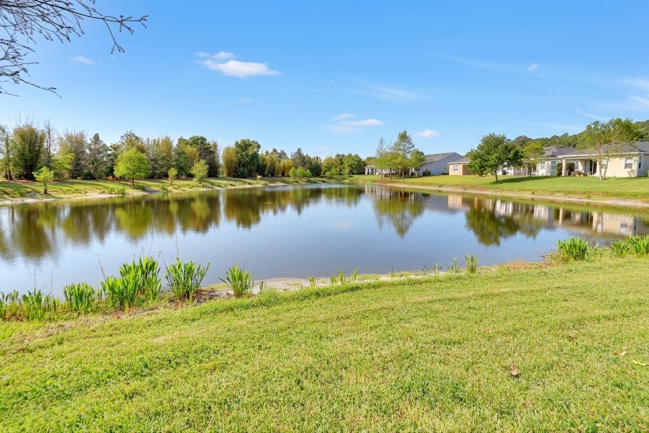 Image 34 of 49 For 412 Tisbury Court