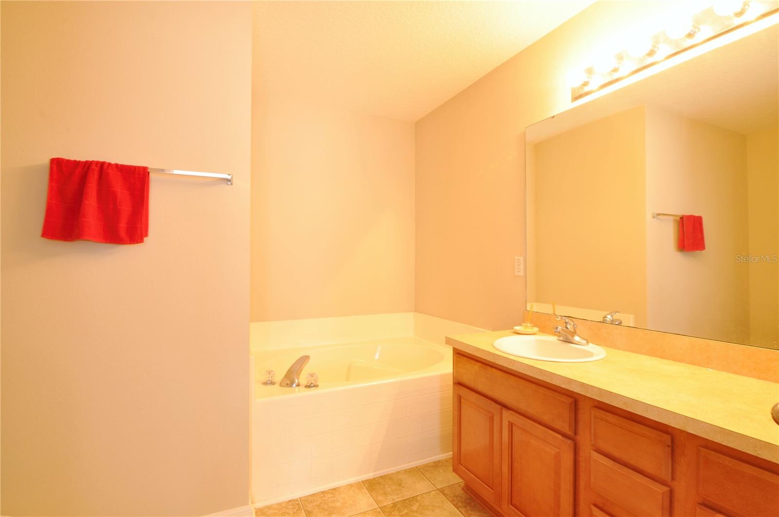 Image 28 of 31 For 5432 Cordgrass Bend Lane