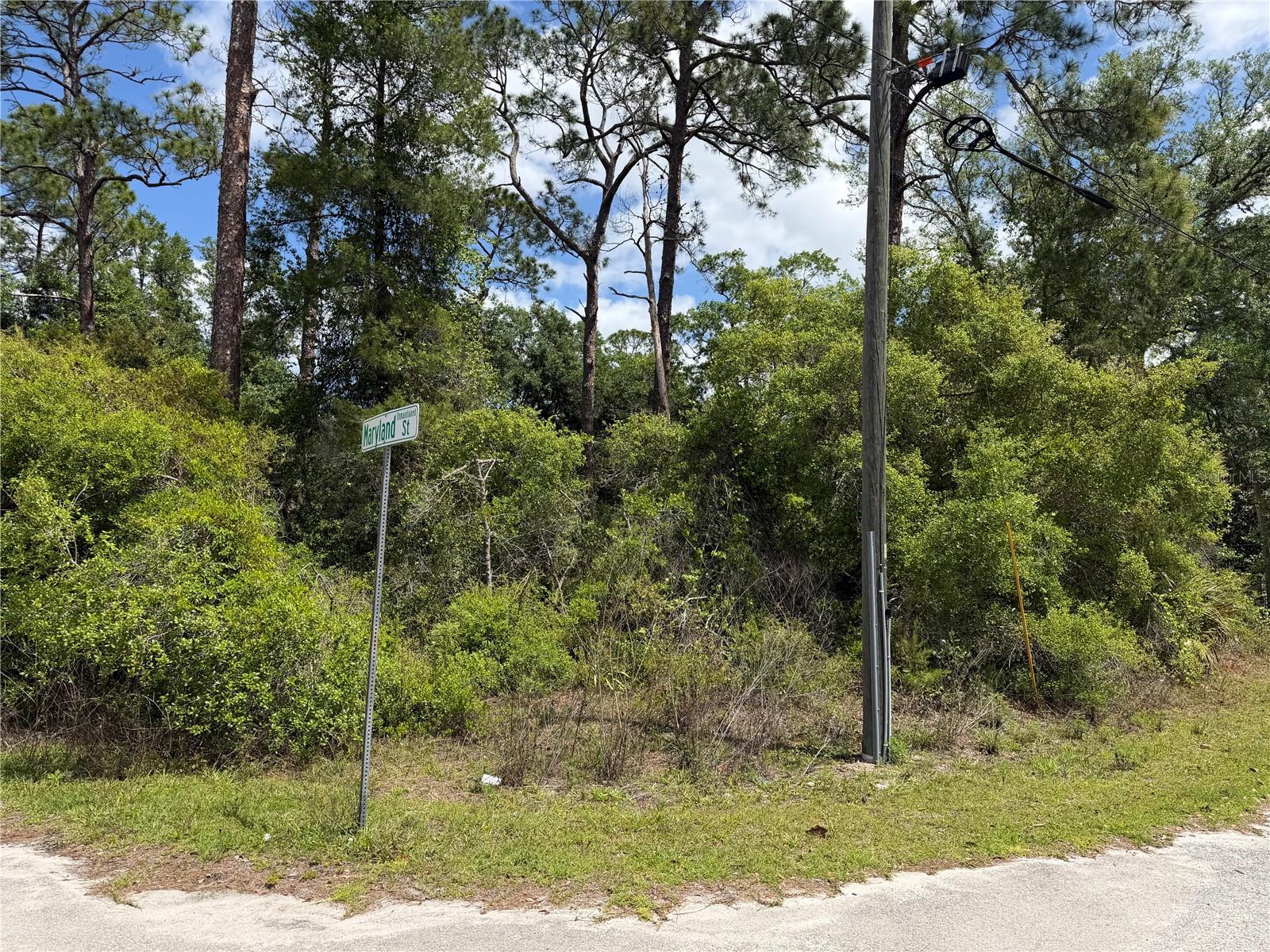 Image 3 of 3 For Maryland Street