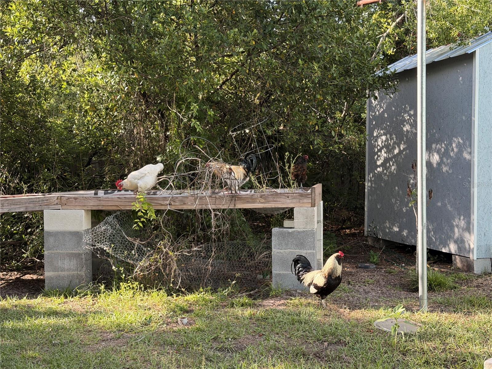 Image 17 of 23 For 7700 Eden Park Road