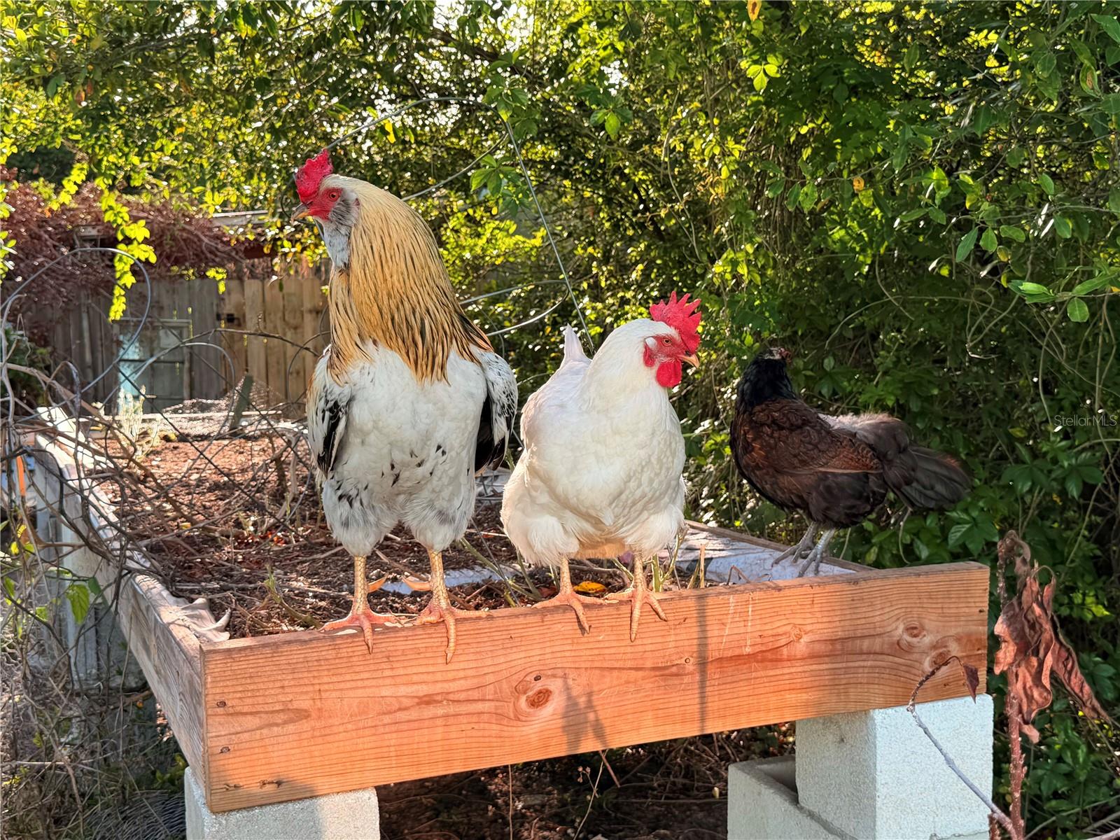 Image 22 of 23 For 7700 Eden Park Road