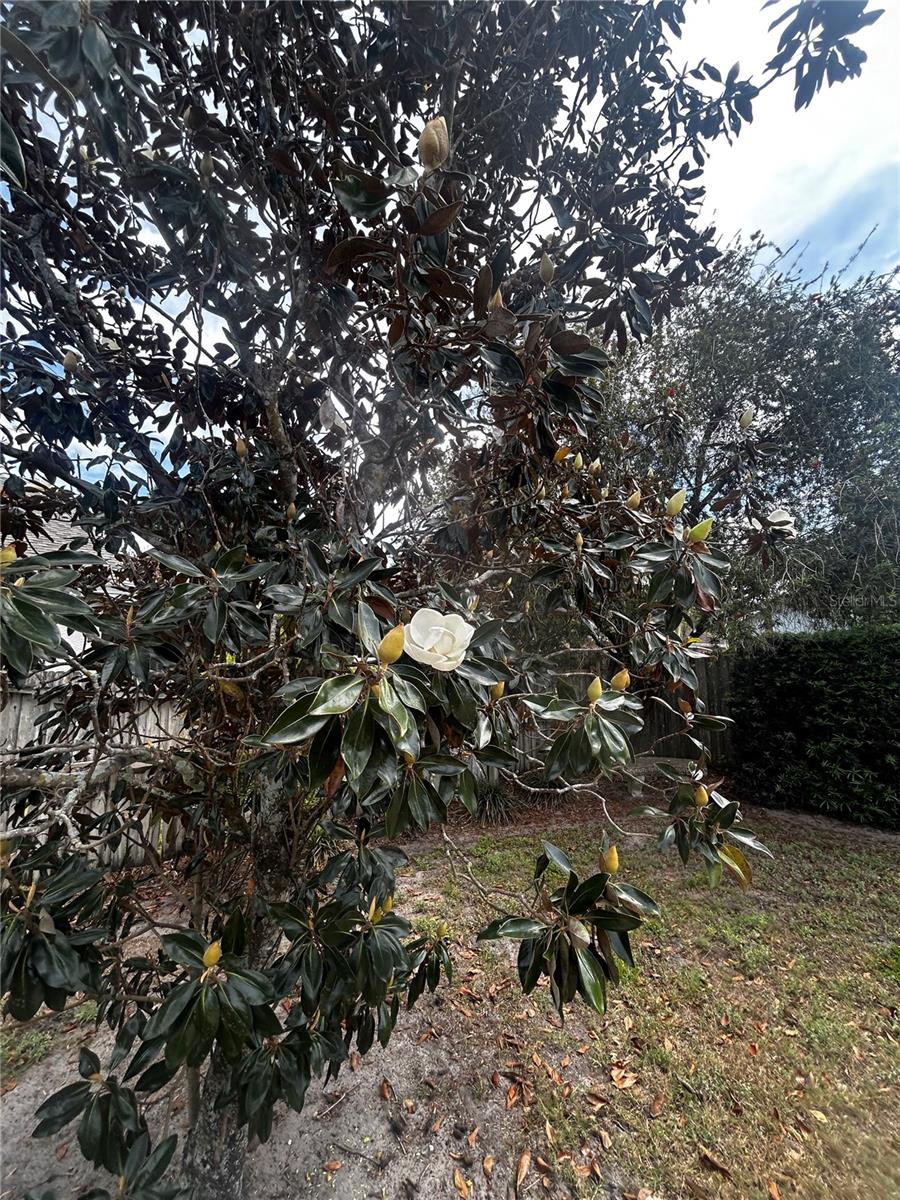 Image 24 of 32 For 5632 Mariwood Drive