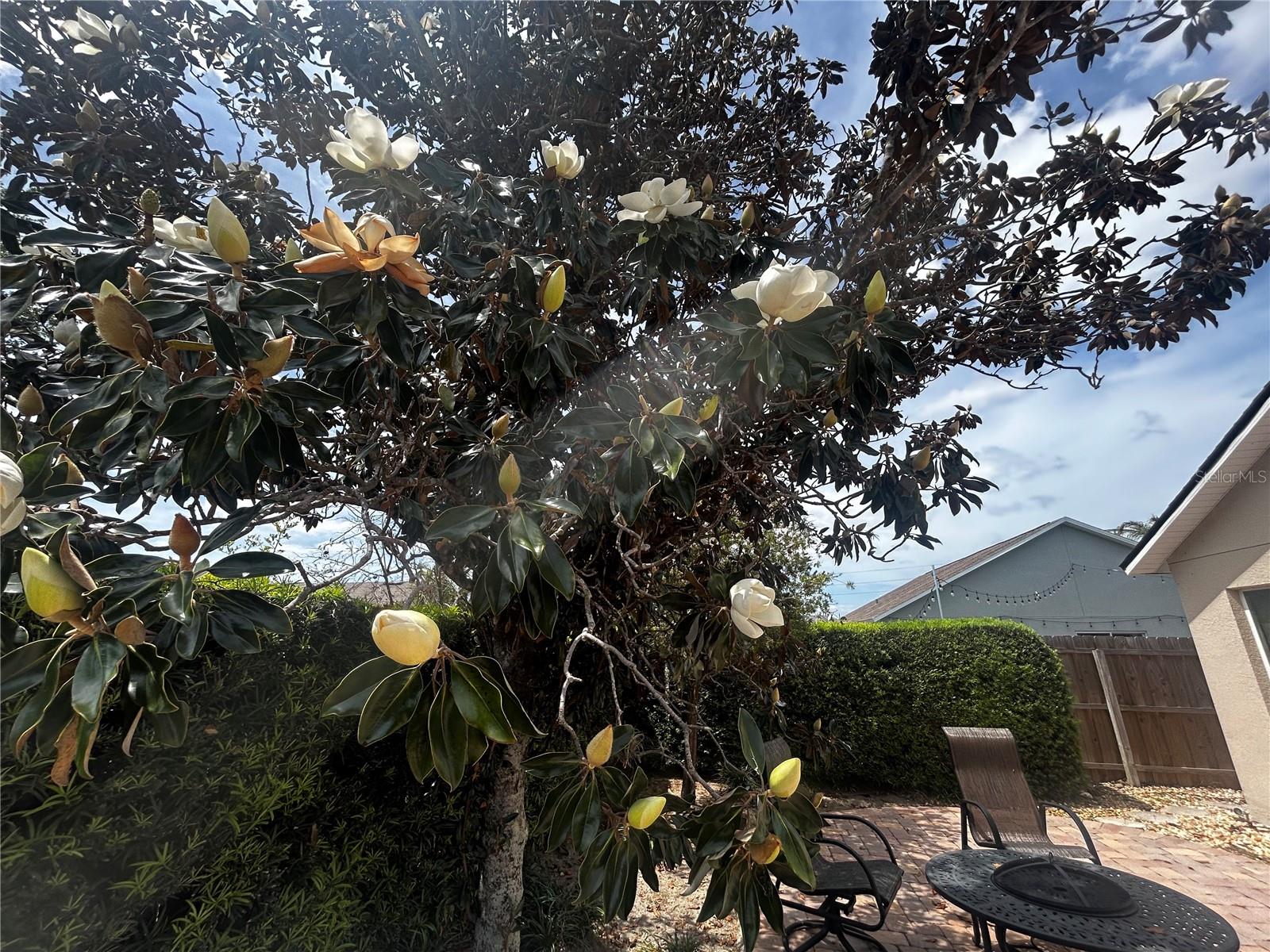 Image 29 of 32 For 5632 Mariwood Drive