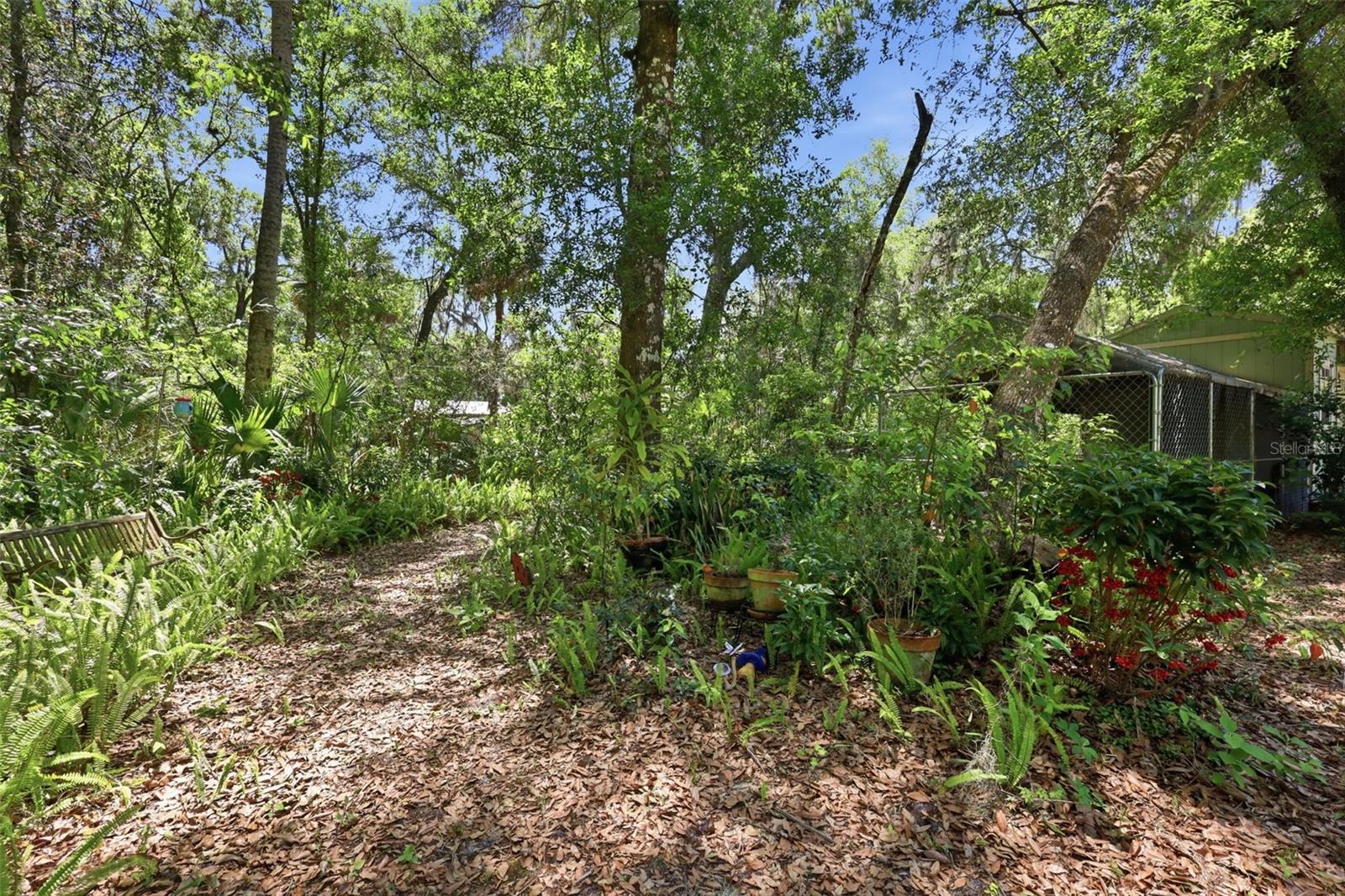 Image 65 of 70 For 1925 Pine Court
