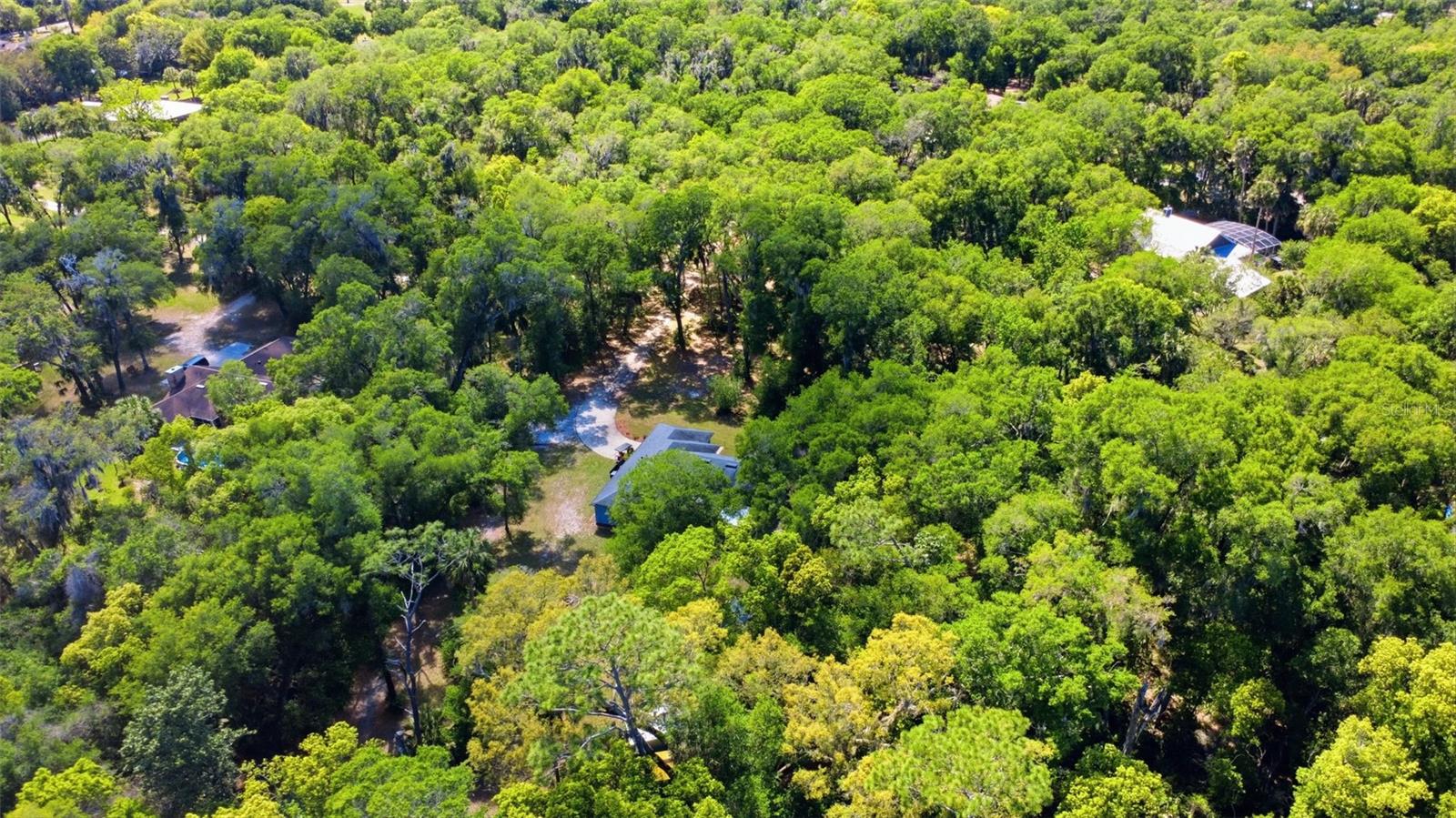 Image 69 of 70 For 1925 Pine Court