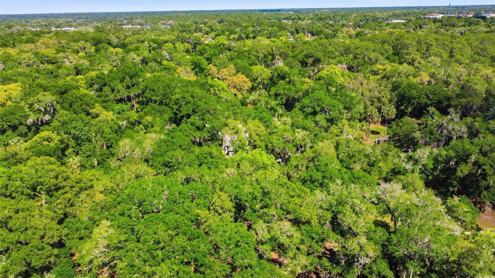 Image 70 of 70 For 1925 Pine Court