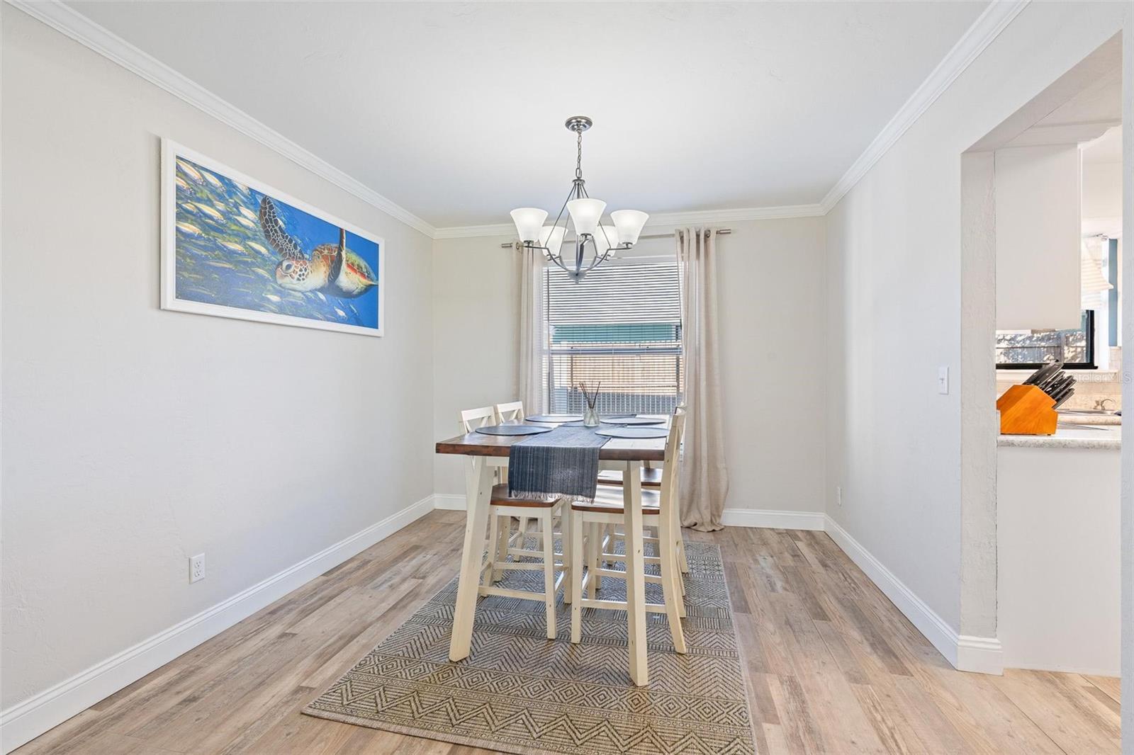 Image 9 of 48 For 1197 Southfork Court