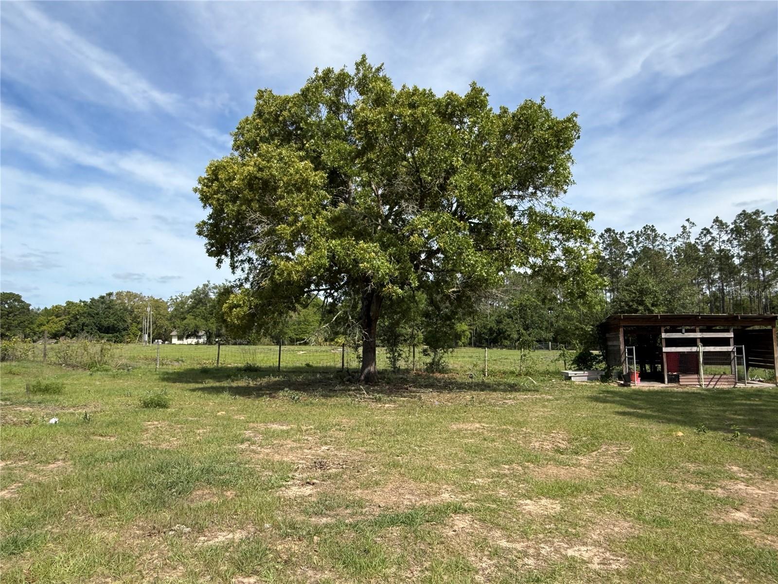 Image 10 of 39 For 11090 165th Terrace Road