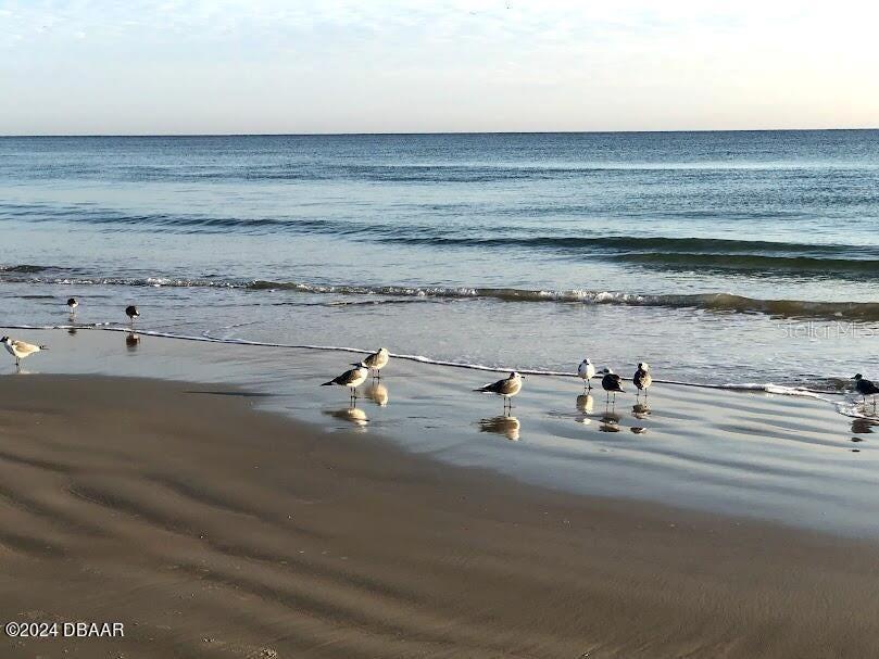 Image 32 of 55 For 2828 Atlantic Avenue 604