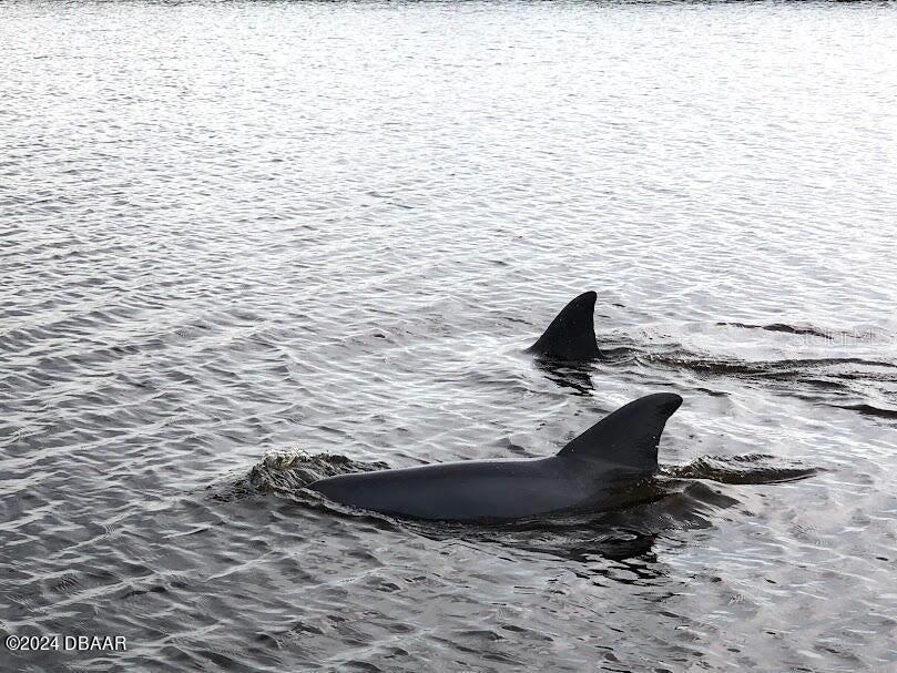 Image 52 of 55 For 2828 Atlantic Avenue 604